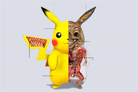 Pokemon Anatomy Book Buy Pokénatomy An Unofficial Guide To The Science Of Pokémon In