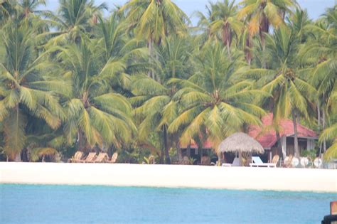 Bangaram Island Resort Updated 2024 Hotel Reviews Lakshadweep