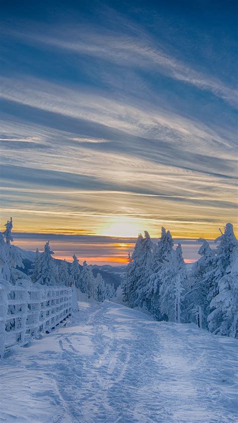 Sunset In Winter Forest Poiana Brasov Ski Resort Romania