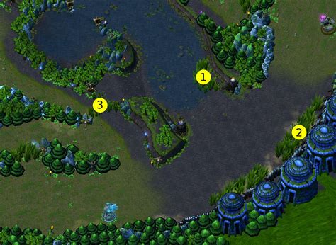 General Strategy Guide Support What And Why League Of Legends