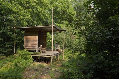 Treehouses The Homes That Almost Hover In The Air And The People Who