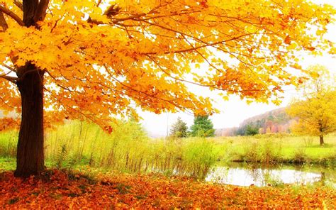 Hd Autumn Scenery Wallpaper High Definition High Resolution Hd