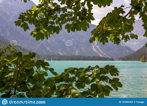 Plansee Lake In Austrian Alps Stock Image Image Of Outdoor Nature