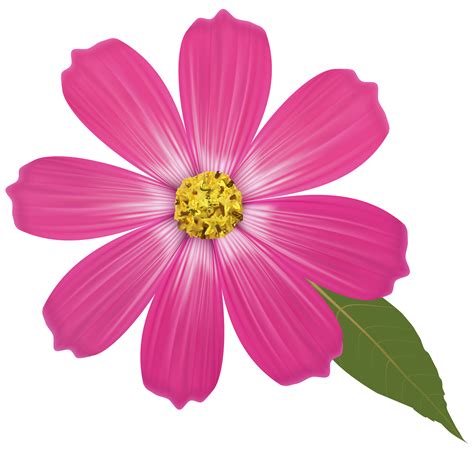 Flower Clipart Transparent