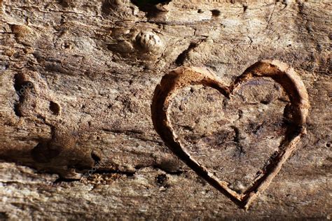 Heart Carved In Tree Stock Photo By ©belchonock 53954487