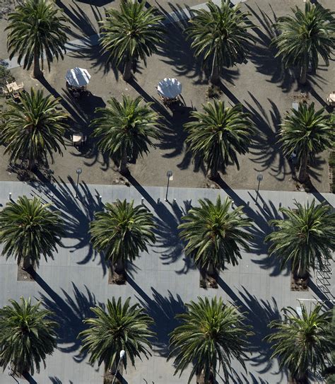 16 Palms Aerial Photograph Of 16 Palm Trees Jack London S Flickr