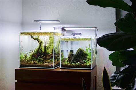 Best Nano Aquariums Of 2024 Filter And Light Included