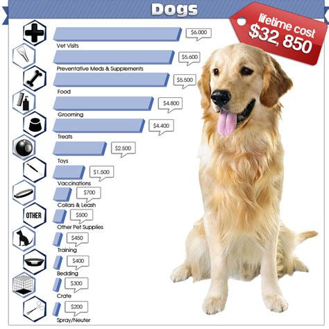 The Costs Of Owning Pets On Sale Entirelypets