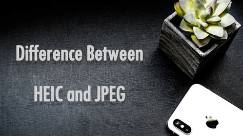 Learn The Difference Between Heic And Jpeg Image