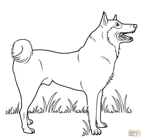 Sheets great dane coloring pages 54 for free coloring book with great dane coloring pages 1024 x 1024px 61.05kb. Great Dane Dog Coloring Pages - Coloring Home
