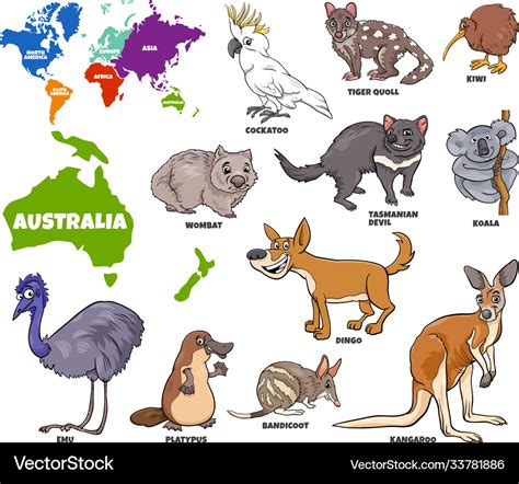 Educational Australian Animals Set Royalty Free Vector Image