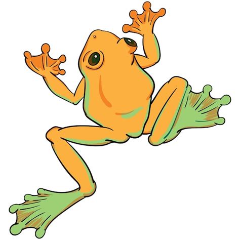 Premium Vector Vector Illustration Of Colorful Tree Frog Isolated On