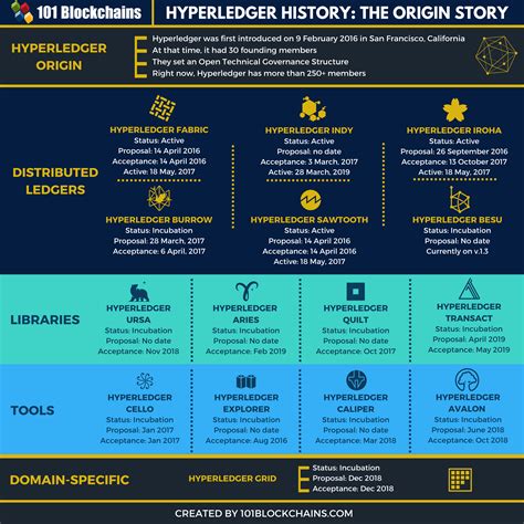 You should be able to identify it by the amount sent ot timestamp. Hyperledger History: Everything You Need To Know | 101 ...