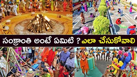 How To Celebrate Sankranti Festival Sankranti Festival Special In