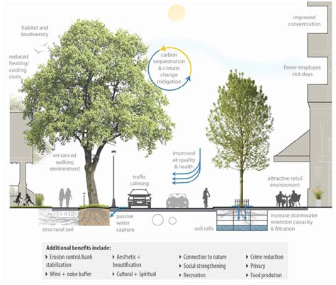 Street Tree Benefits Download Scientific Diagram