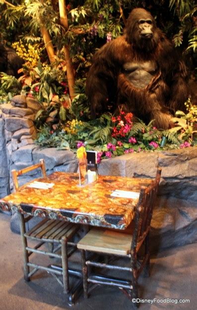 News Lava Lounge Opens At Rainforest Café In Disney Worlds Downtown