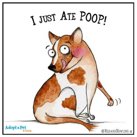 Poop Meme Cartoon