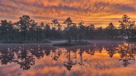 Sweden Lake Around Trees During Sunset Hd Nature