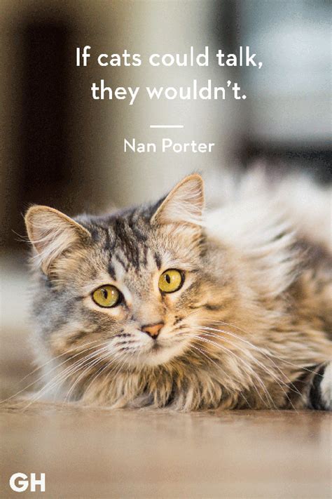 25 Quotes Only Cat Owners Will Understand Cat Quotes