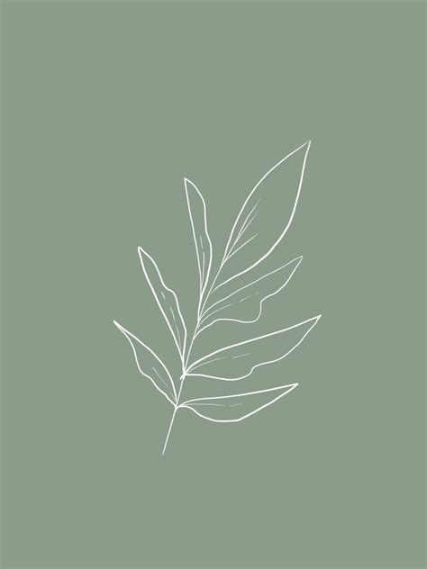 Sage Green Plant Wallpaper Hey I Luv U Xo ️🍁 Nawpic