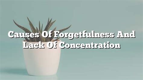 Causes Of Forgetfulness And Lack Of Concentration On The Web Today
