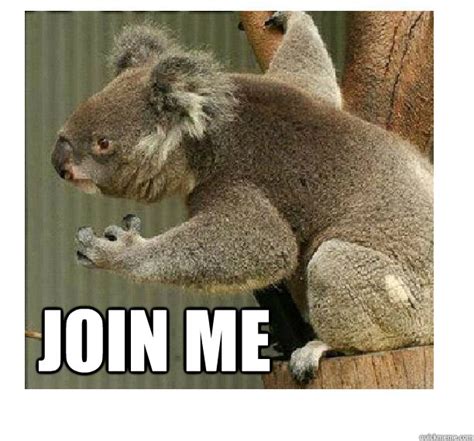 Join Me Power Hungry Koala Quickmeme