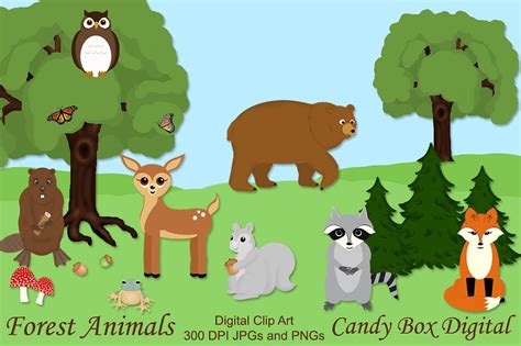 Woodland Forest Animal Clip Art ~ Illustrations On