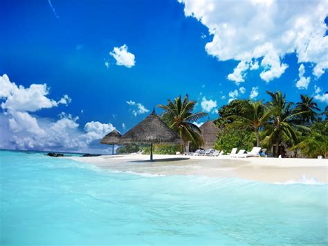 Tropical Island Paradise Pictures Just For Sharing