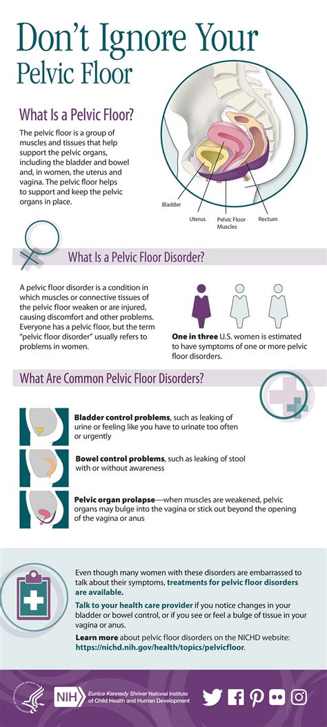 Infographic Dont Ignore Your Pelvic Floor Nichd Eunice Kennedy