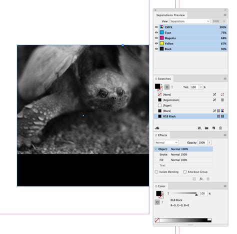 Solved Convert Color Photos To Black And White In Indesig Adobe