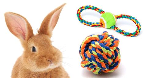 Diy Rabbit Toys Are Easy And Fun To Make Just Because Bunnies Are