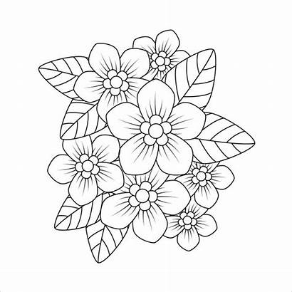 Colouring Flower Coloring Phlox Premium Flowers Sheets