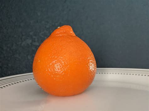 Snack Science Oranges Enchanted Science