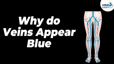 Why Do Veins Appear Blue One Minute Bites Dont Memorise Youtube