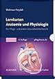 Anatomie Lernen Durch Beschriften In Pflege Und Gesundheitsberufen