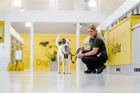 Goodwood Goodwoof Partners With Dogs Trust