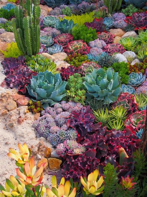 40 Amazing Succulents Garden Decor Ideas For 2019 Succulents