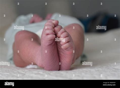 Newborn Baby Feet Stock Photo Alamy