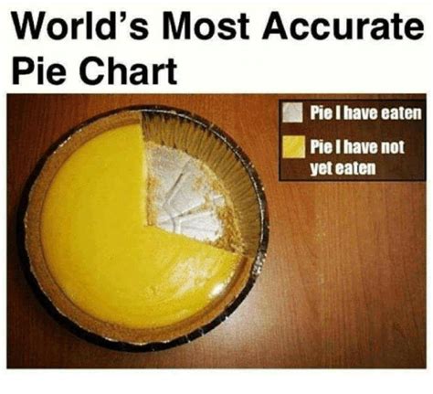 Worlds Most Accurate Pie Chart Pie I Have Eaten Pie I Have Not Yet