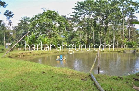 The place is a quite malay village with orchards, and the forest reserve is not far away. Tanah Pertanian Untuk Dijual di Kuala Pangson, Hulu Langat