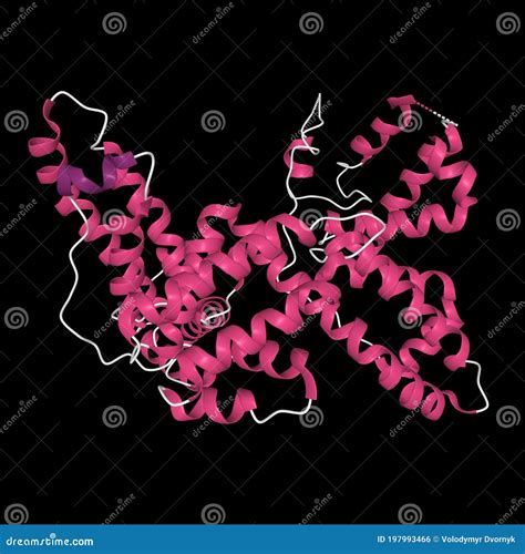 Tertiary Structure Of Human Vitamin D Binding Protein With The