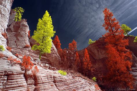 Stunning Winning Entries From 1st Annual Infrared Photography Contest