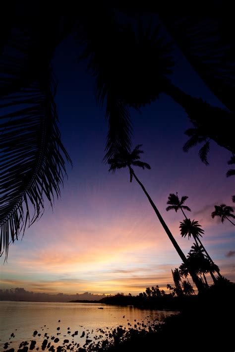 Hawaii Sunset Palms Water Louish Pixel Flickr