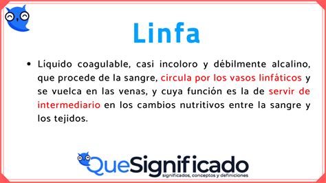 Descubre El Significado De Linfa Características Y Funcionamiento