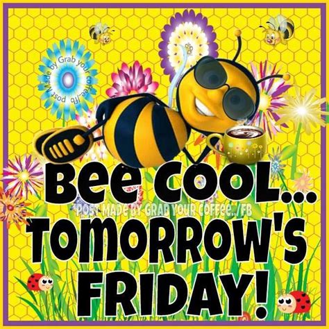 Bee Cool Tomorrows Friday Tomorrowisfriday Bees Flowers