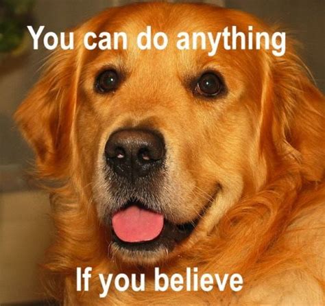 25 You Can Do It Memes That Are 100 Encouraging You Can Do Anything