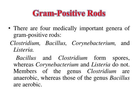 Ppt Gram Positive Rods Gram Positive Spore Forming Bacilli Clostridia