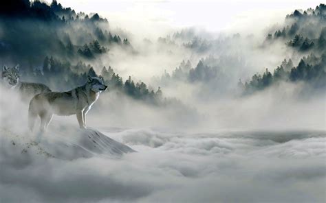 If you see some wolf hd desktop wallpapers you'd like to use, just click on the image to download to your desktop or mobile devices. Wolf Wallpapers 4K PC - Wolf-Wallpapers.Pro