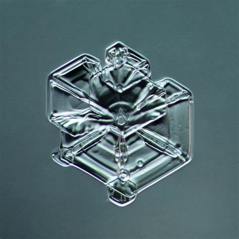 Hexagonal Plate Snowflake 0032920141 Digital Art By Print