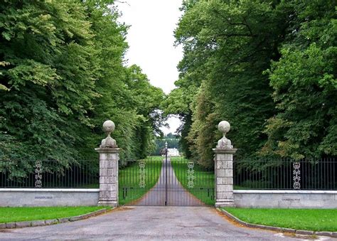 formal lime avenue and gates at saundersgrove baltinglass co wicklow the trees were planted